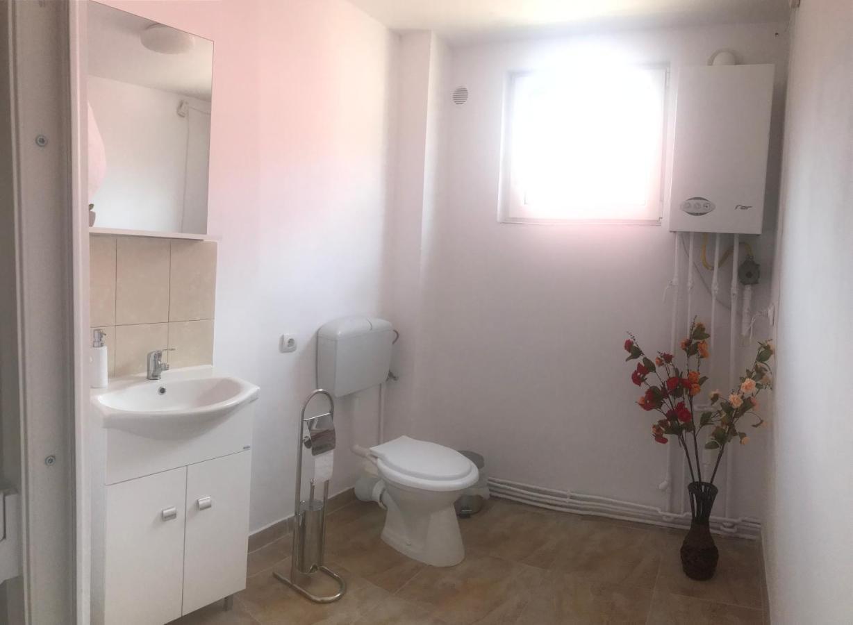 Spacious And Cozy 3Bd+Terrace Couples Apartment تيميشورا المظهر الخارجي الصورة